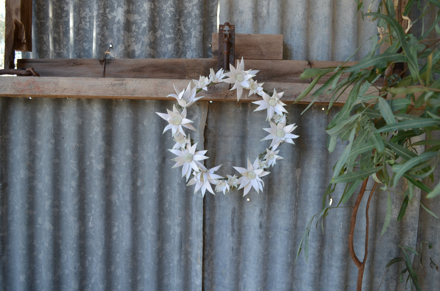 Flannel Flower Wreath