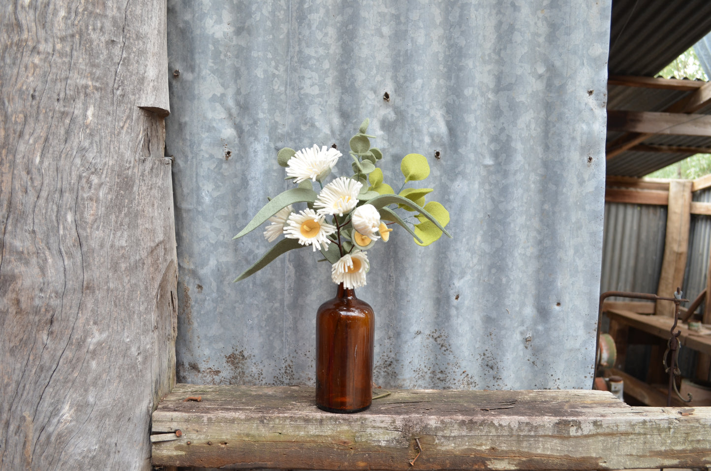 Flowering Gum Nut Stem - White