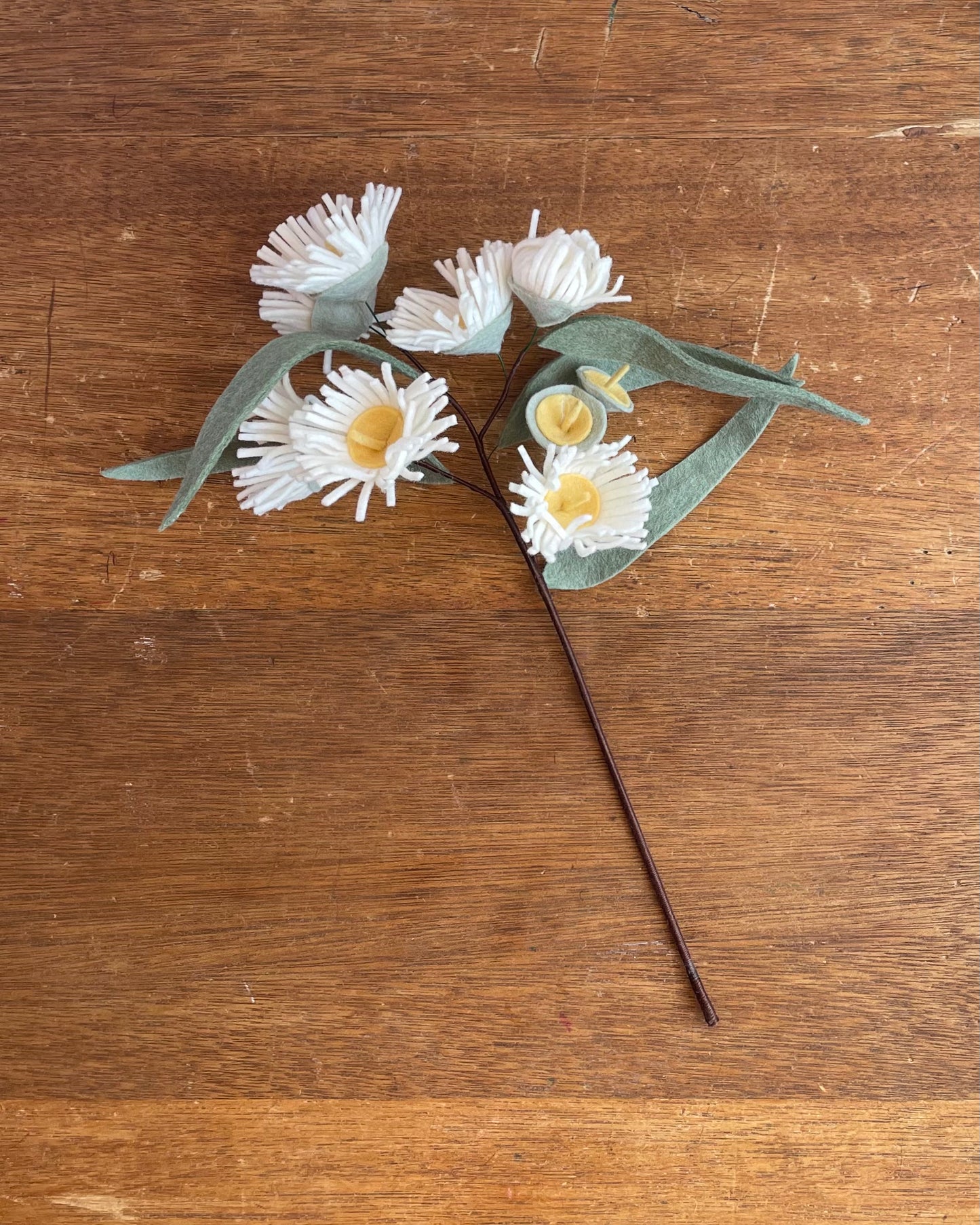 Flowering Gum Nut Stem - White
