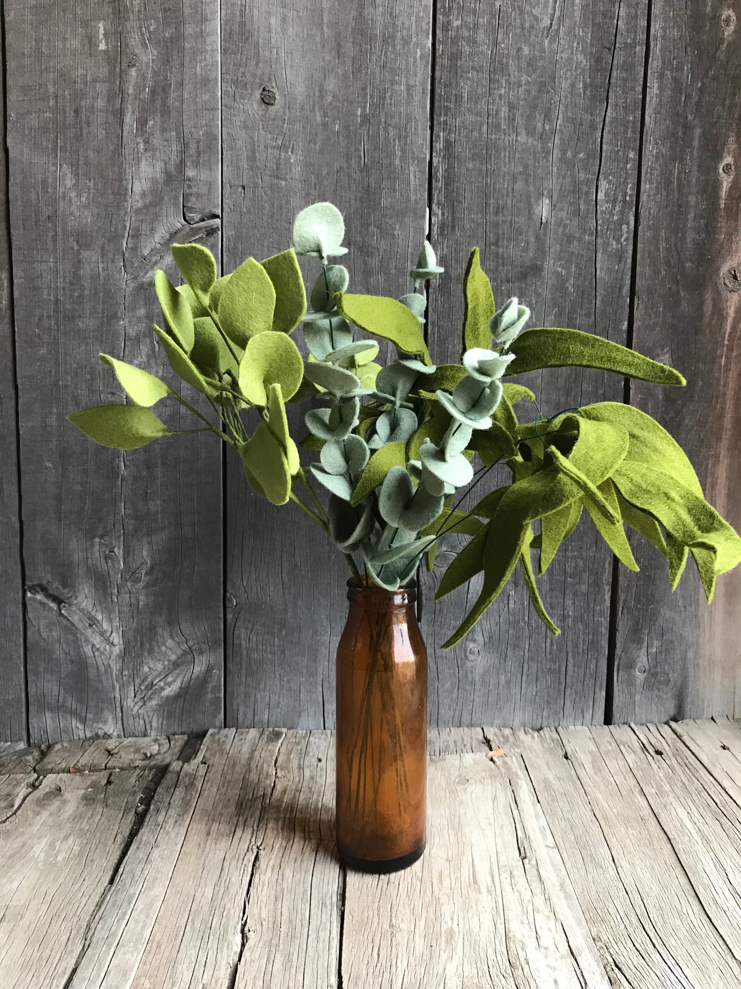 Dollar Eucalyptus Stem