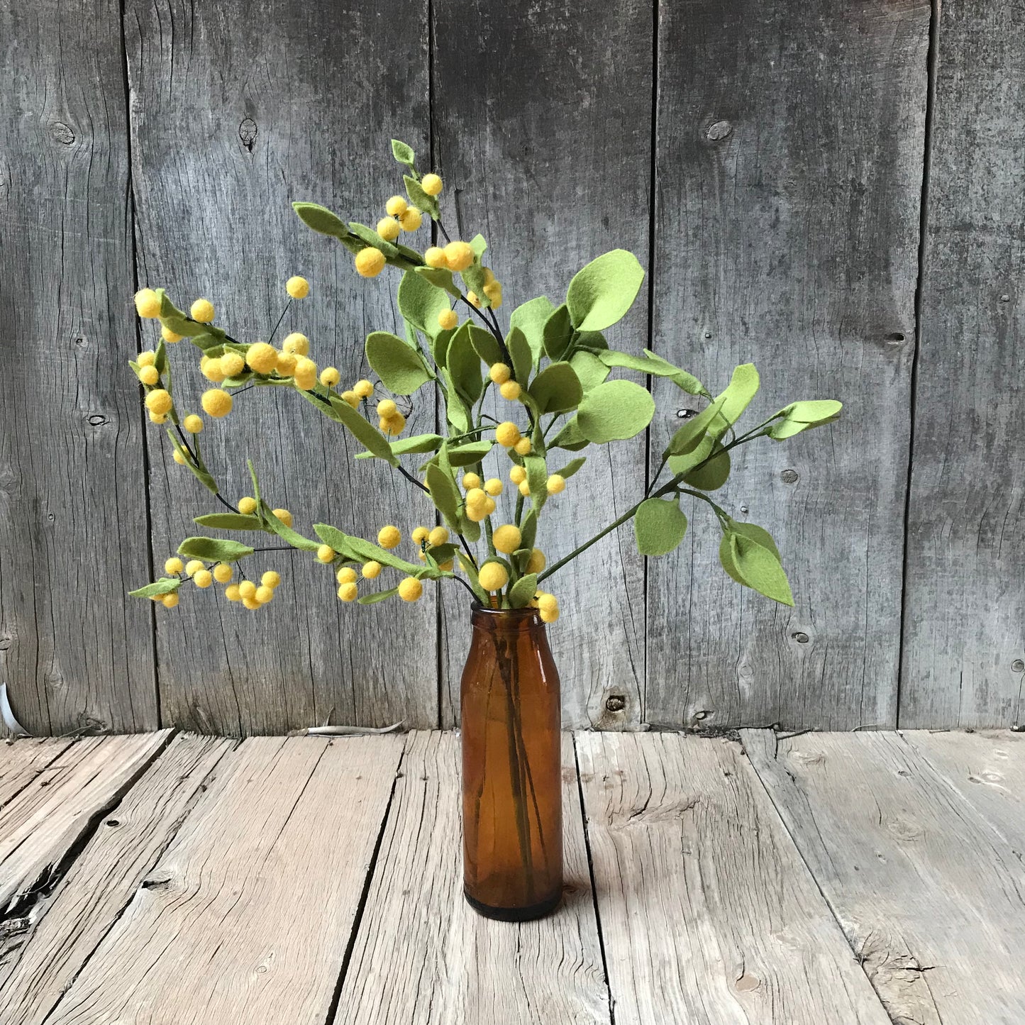 Dollar Eucalyptus Stem