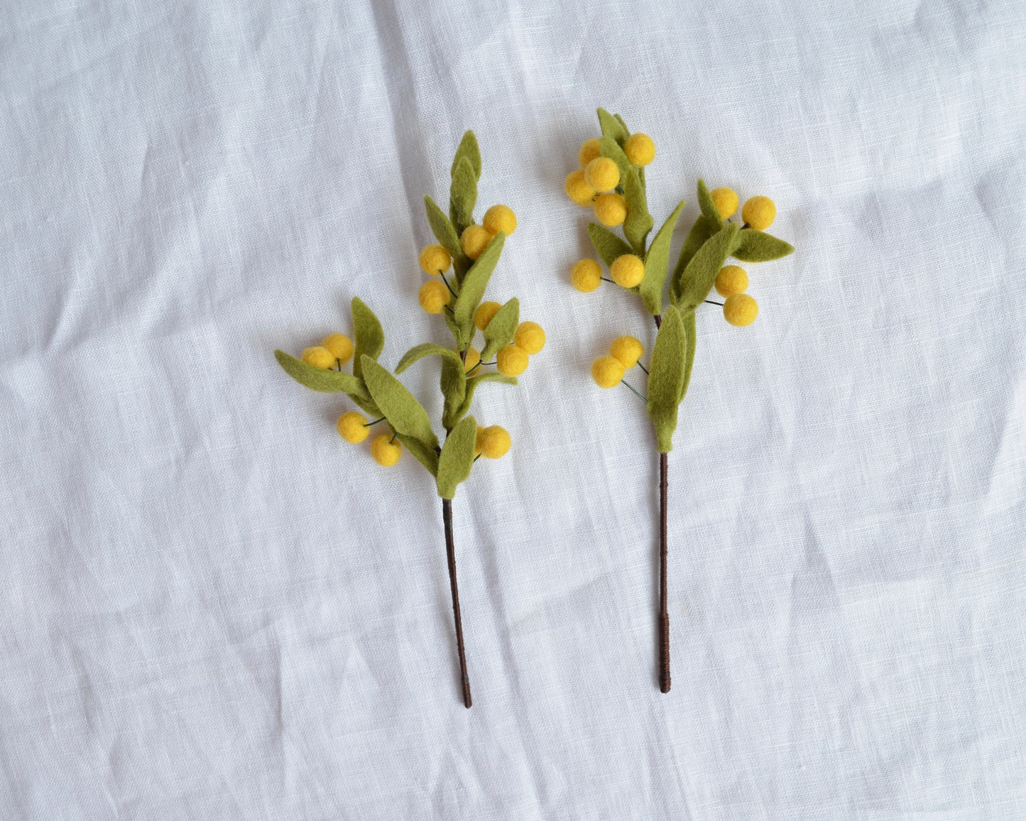 Mini Wattle Stem