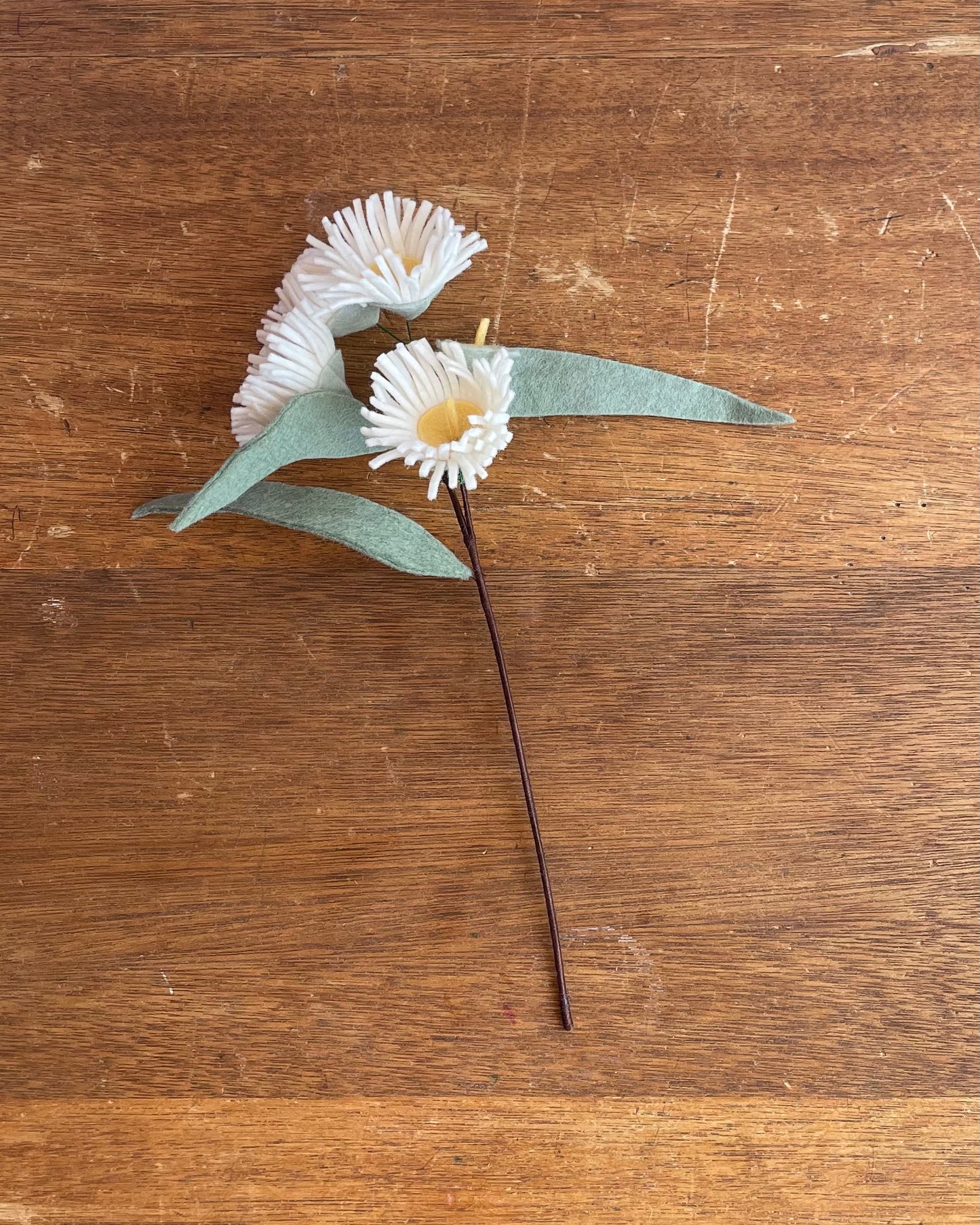 Flowering Gum Nut Stem - White
