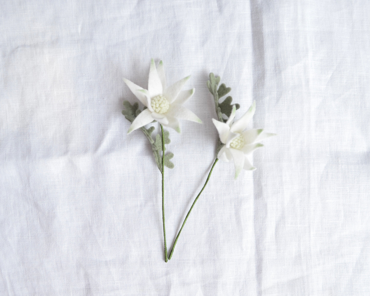 Mini Flannel Flower Stem