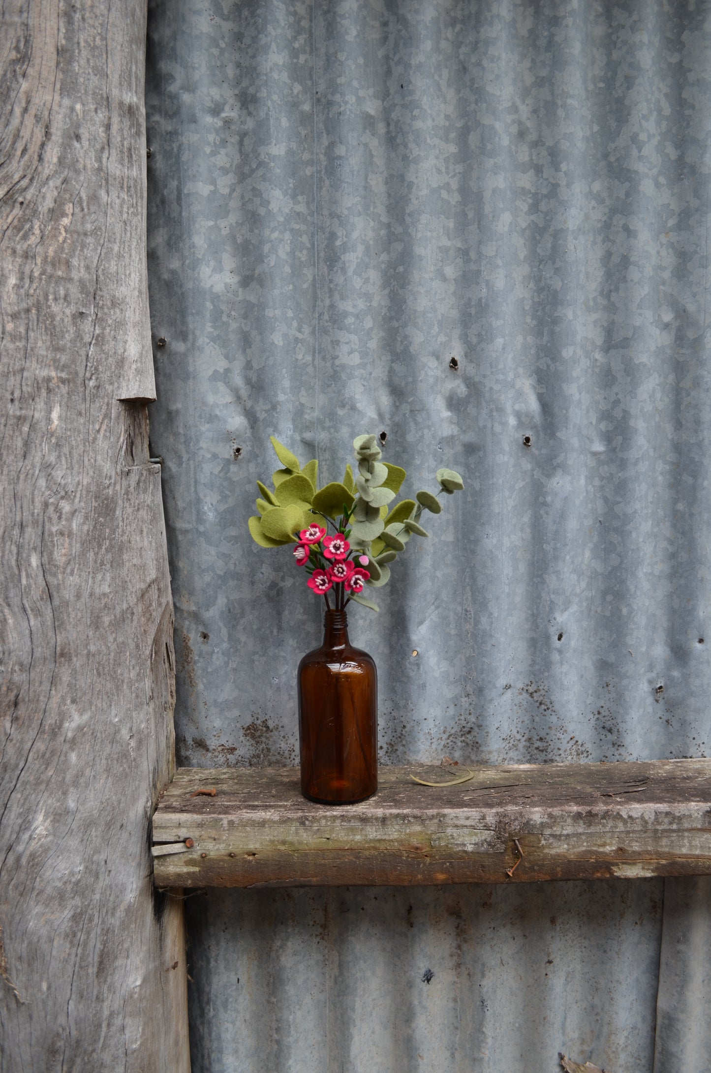 Wax Flower Stem