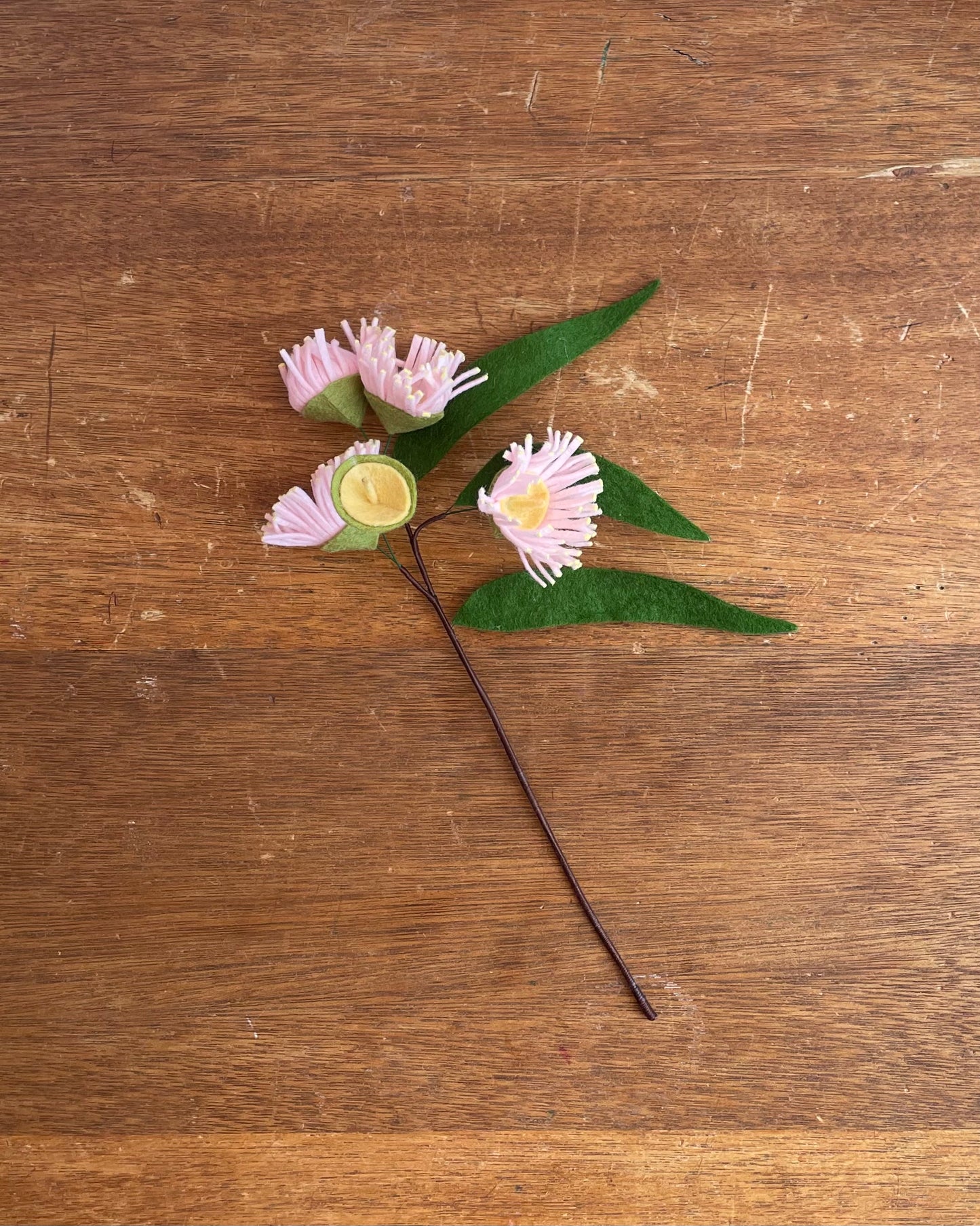 Flowering Gum Nut Stem - Pale Pink