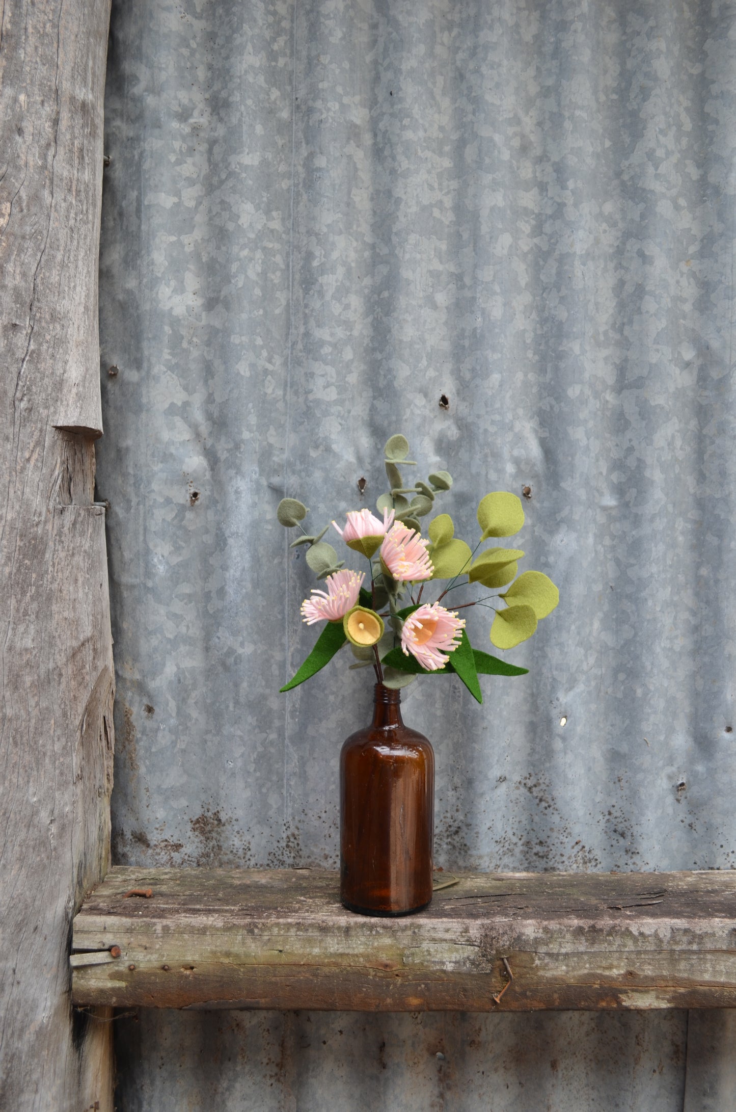 Dollar Eucalyptus Stem