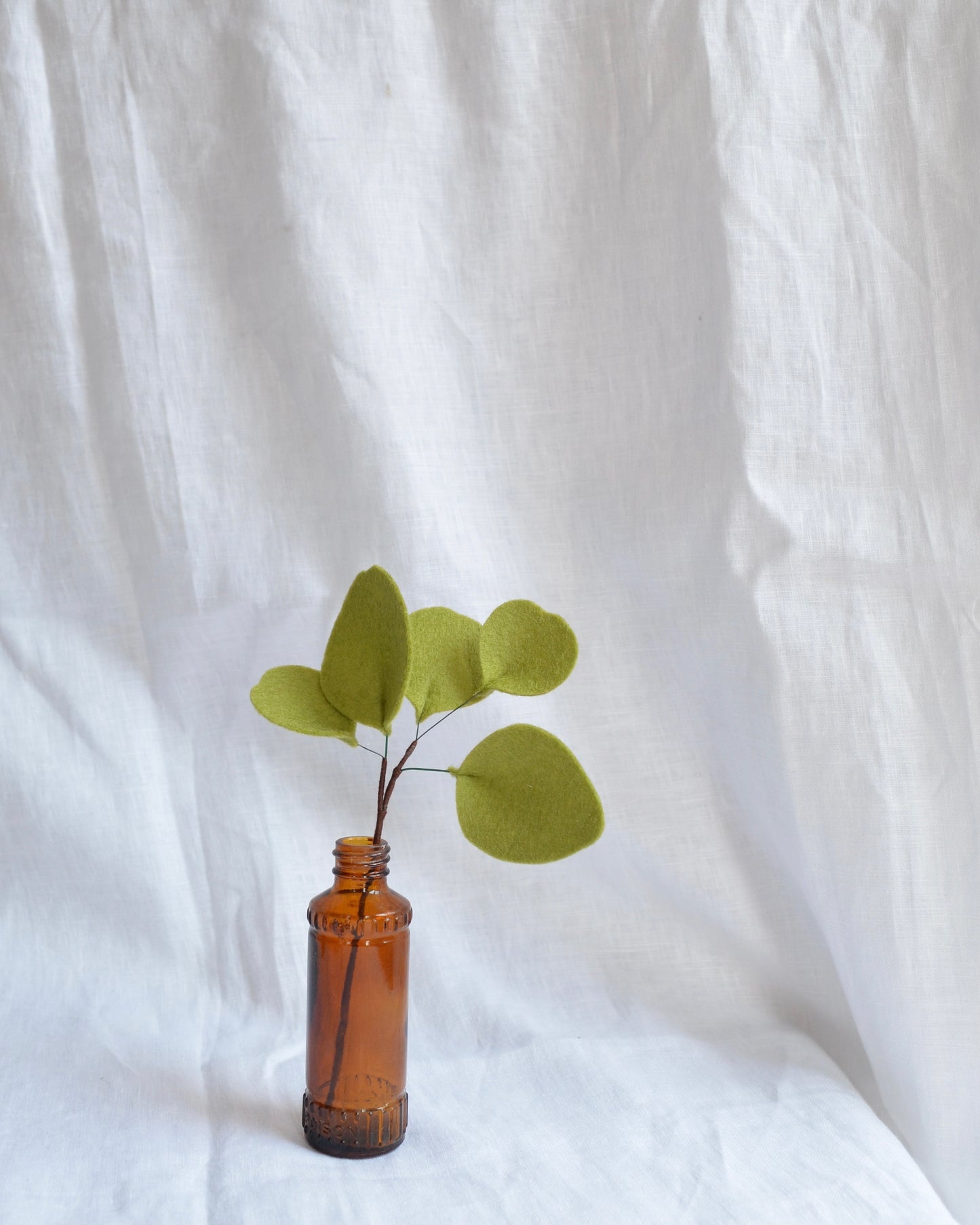 Mini Dollar Eucalyptus Stem