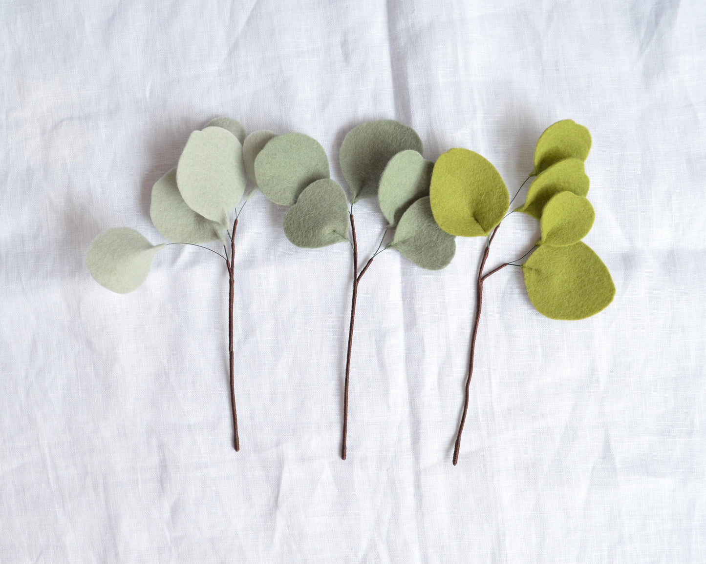 Mini Dollar Eucalyptus Stem