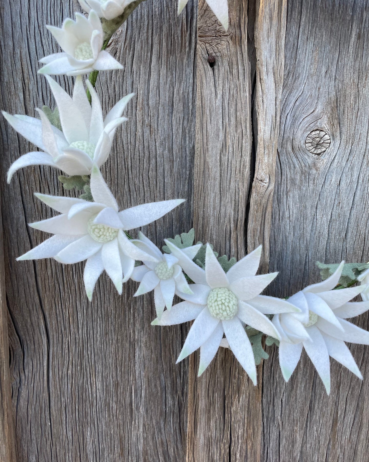 Flannel Flower Wreath