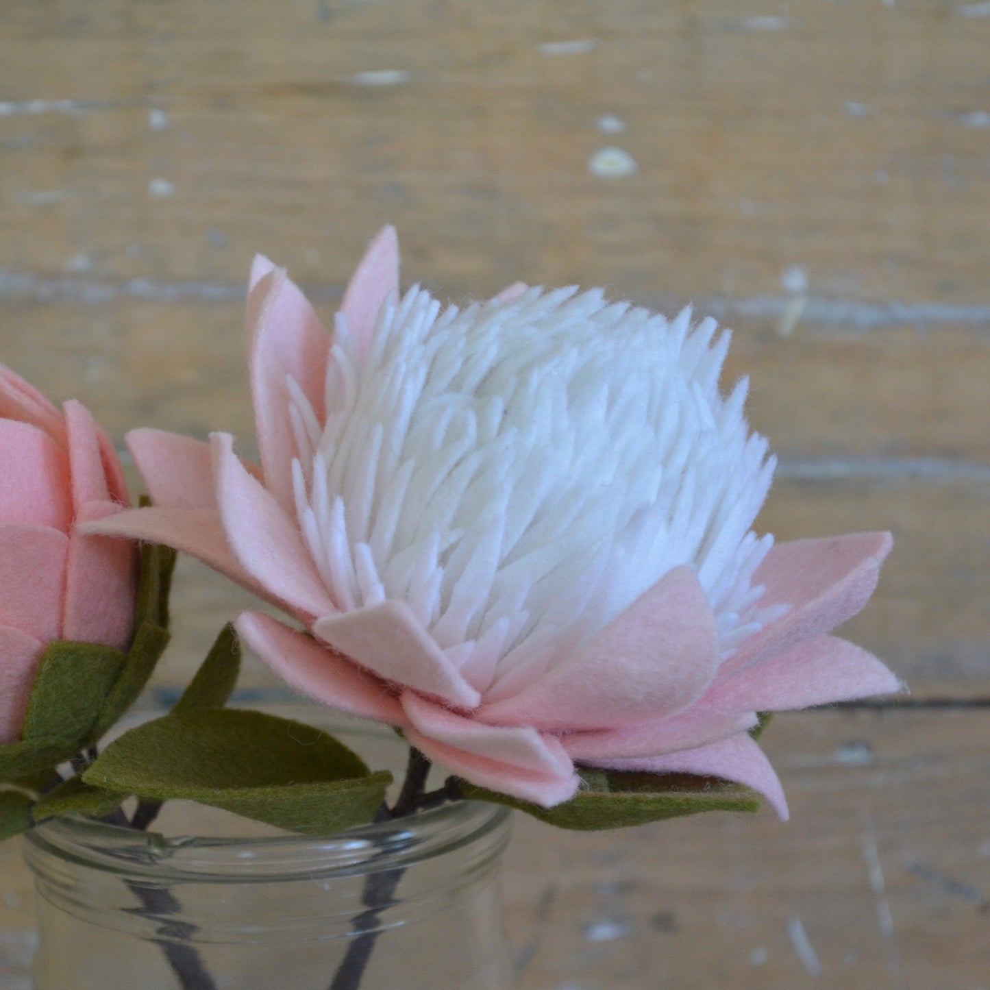 Small King Protea