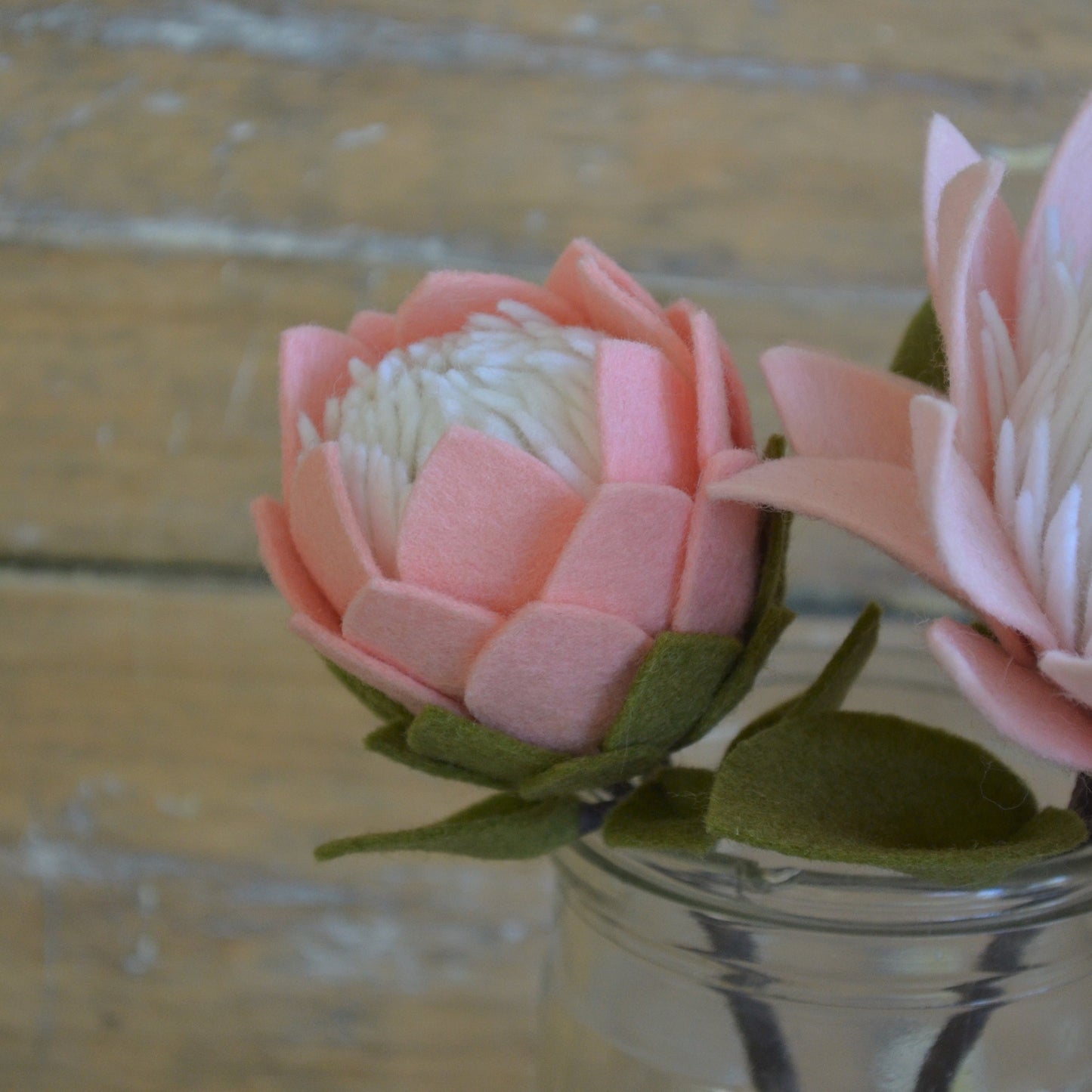 Small King Protea