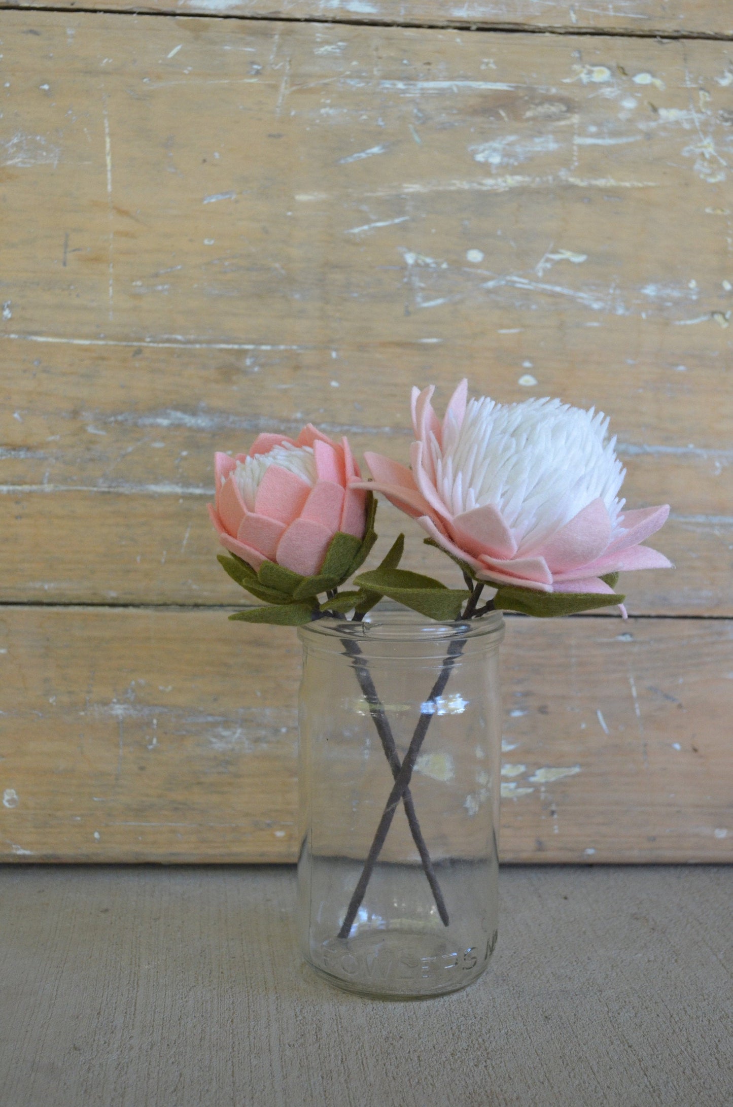 Small King Protea