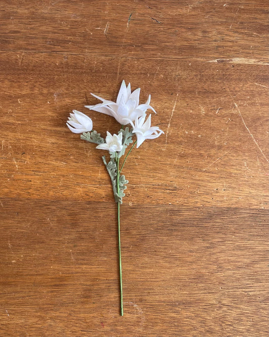 Flannel Flower - 4 Blossom Stem