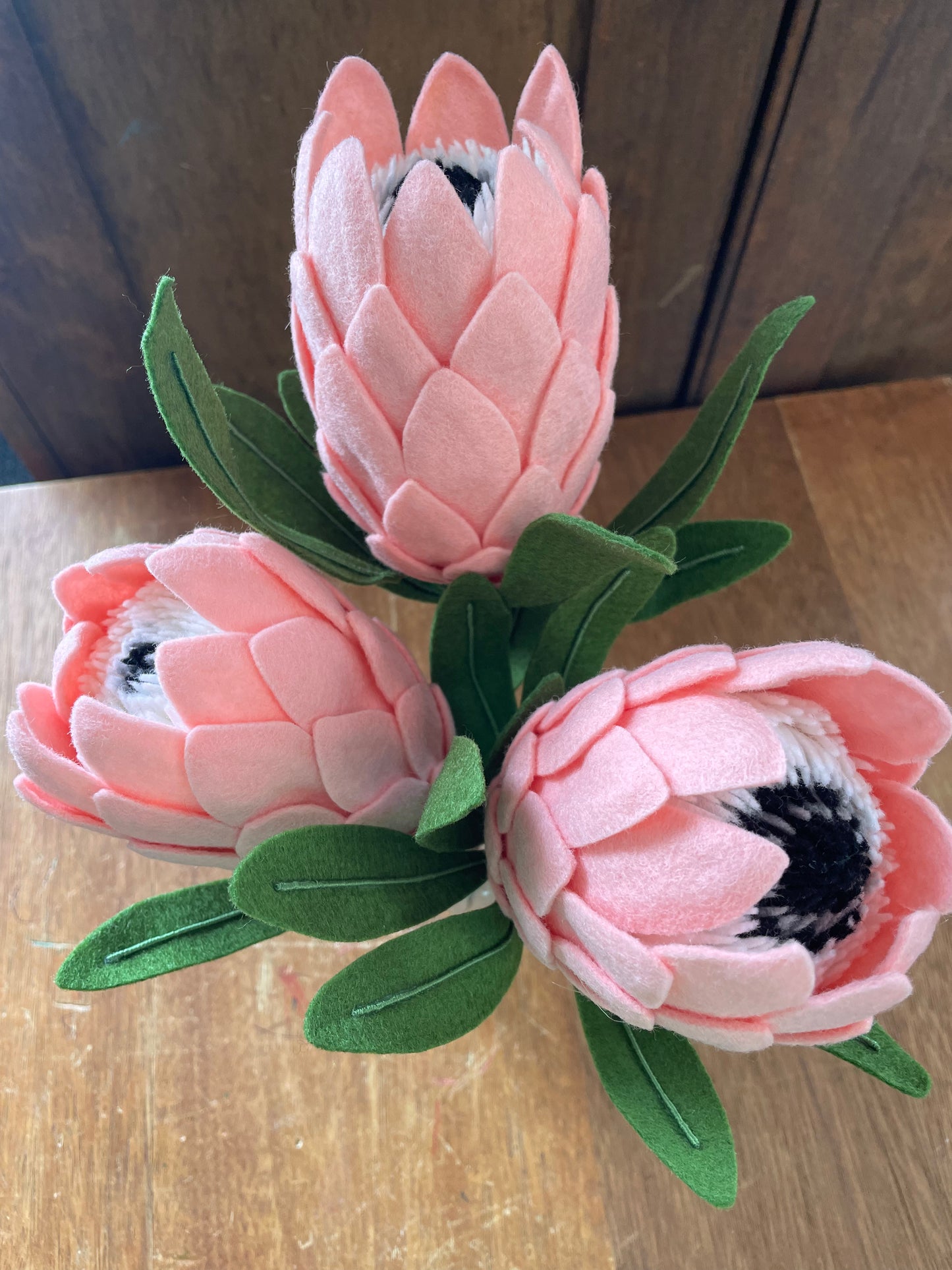Princess Protea